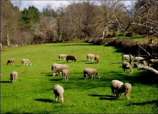 Quinta Do Lagar Da Moira Hotel Vila Franca da Serra Екстериор снимка