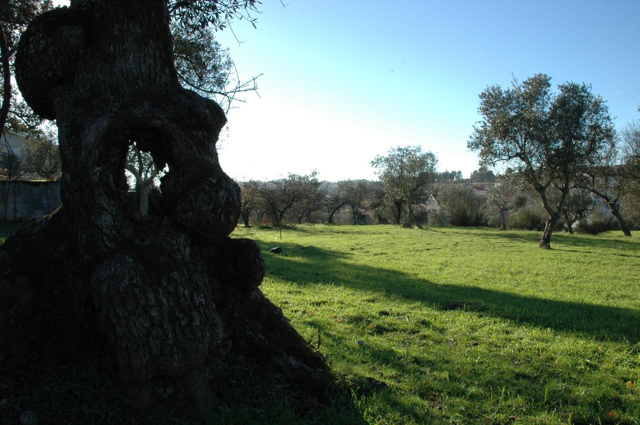 Quinta Do Lagar Da Moira Hotel Vila Franca da Serra Екстериор снимка
